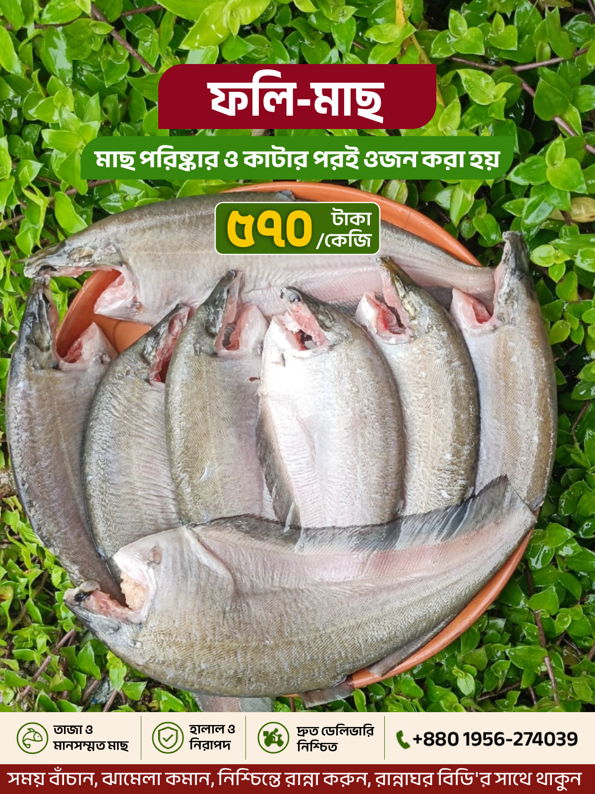 ফলি মাছ (Ready to Cook)