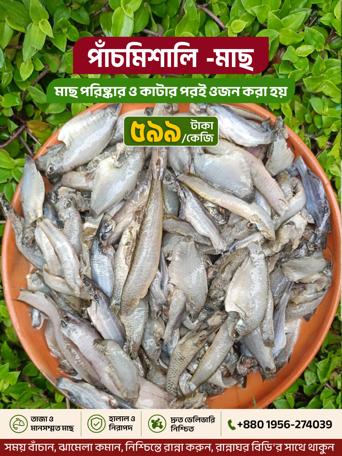 পাঁচমিশালি মাছ (Ready to Cook)