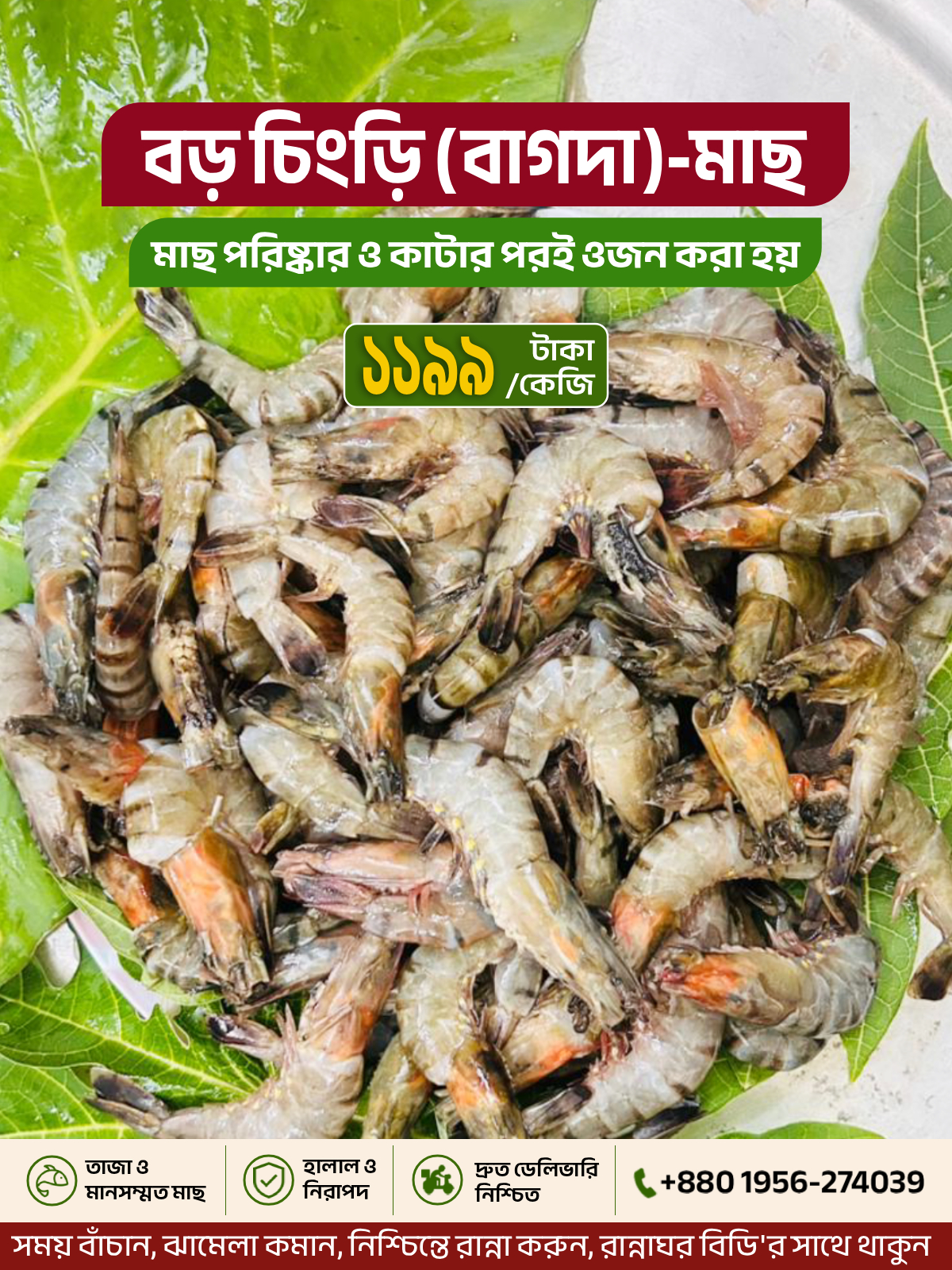বাগদা চিংড়ি (Ready to Cook)