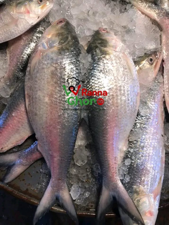 নদীর টাটকা রুপালি ইলিশ এখন Ready to Cook!