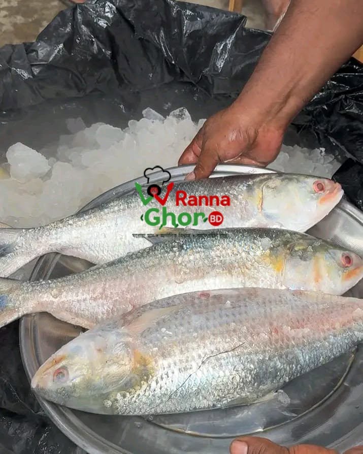 নদীর টাটকা রুপালি ইলিশ এখন Ready to Cook!